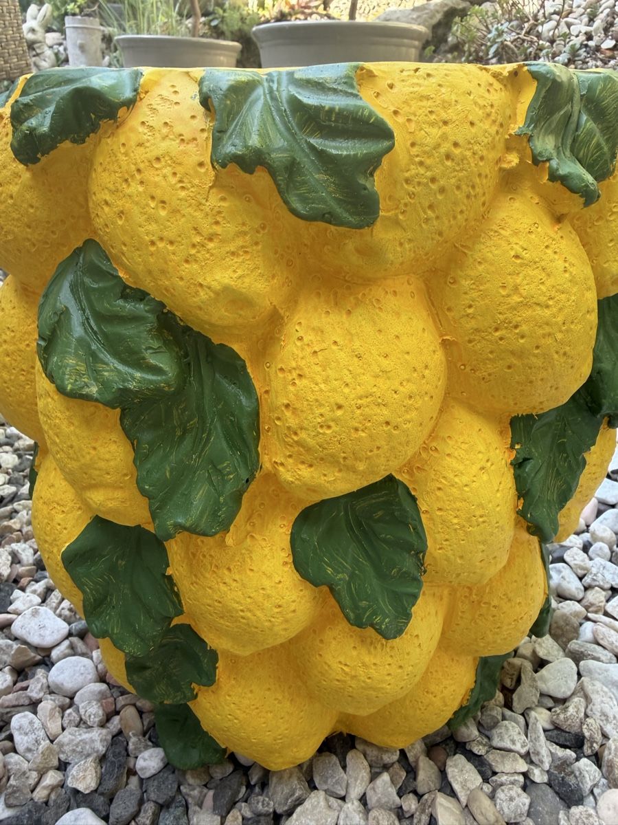 Blumentöpfe: Dekorativer Blumentopf – Gebraucht aus Pfäffikon ZH von lenaviktoria 2