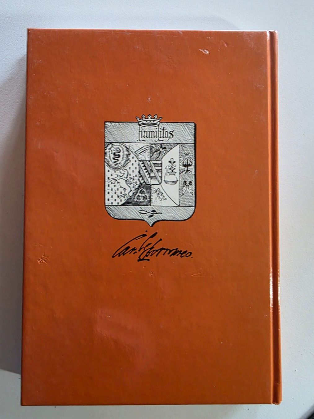 Livres: Karl Borromäus - Hedwig Bach - 1985 – D'occasion à Walterswil BE par Lonitti 9