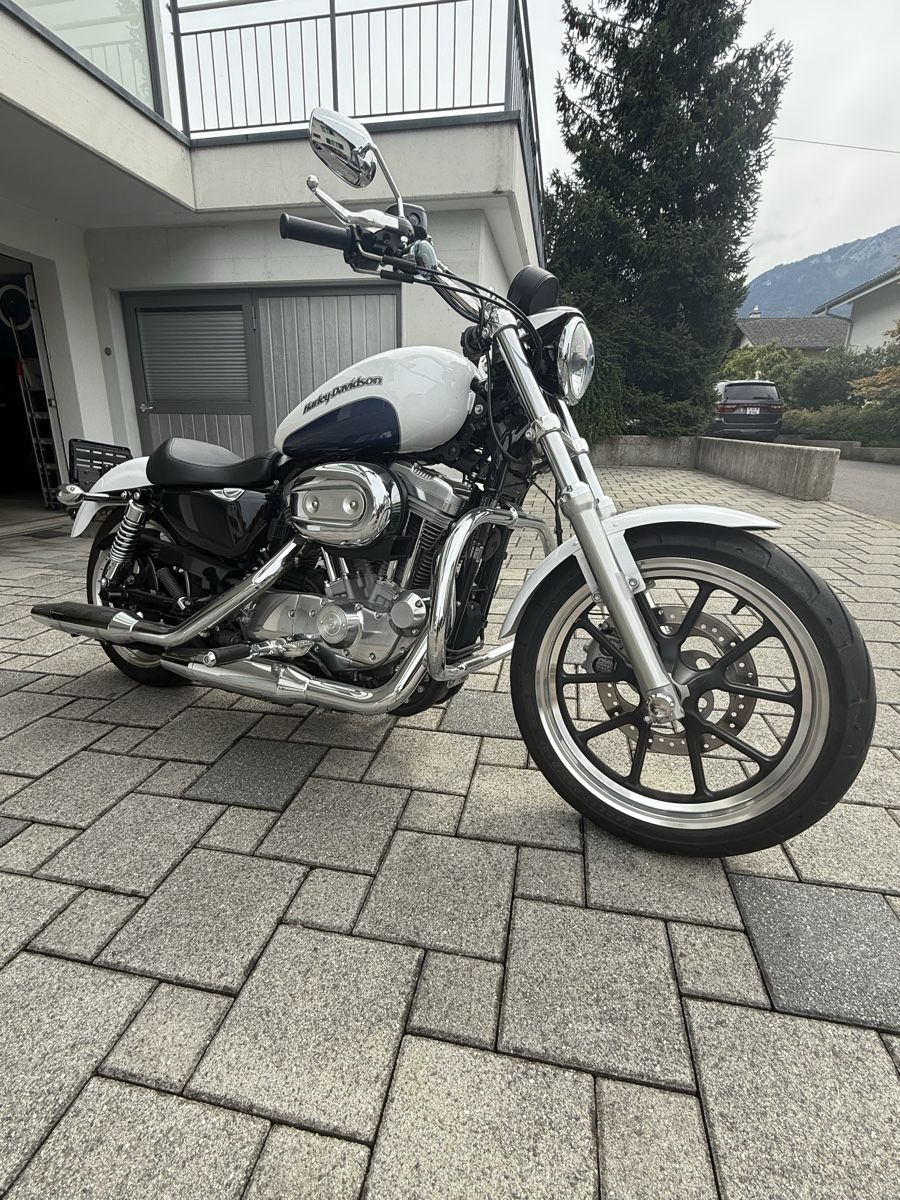 Harley-Davidson Chopper: Harley-Davidson XL883 Super Low. Top Zustand – Gebraucht aus Ibach von Skoda2004 2