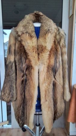 Damen Wunderschöner Echt Pelzmantel Gr.42 🦊 Wintermantel