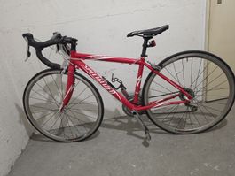 Damen Specialized Allez