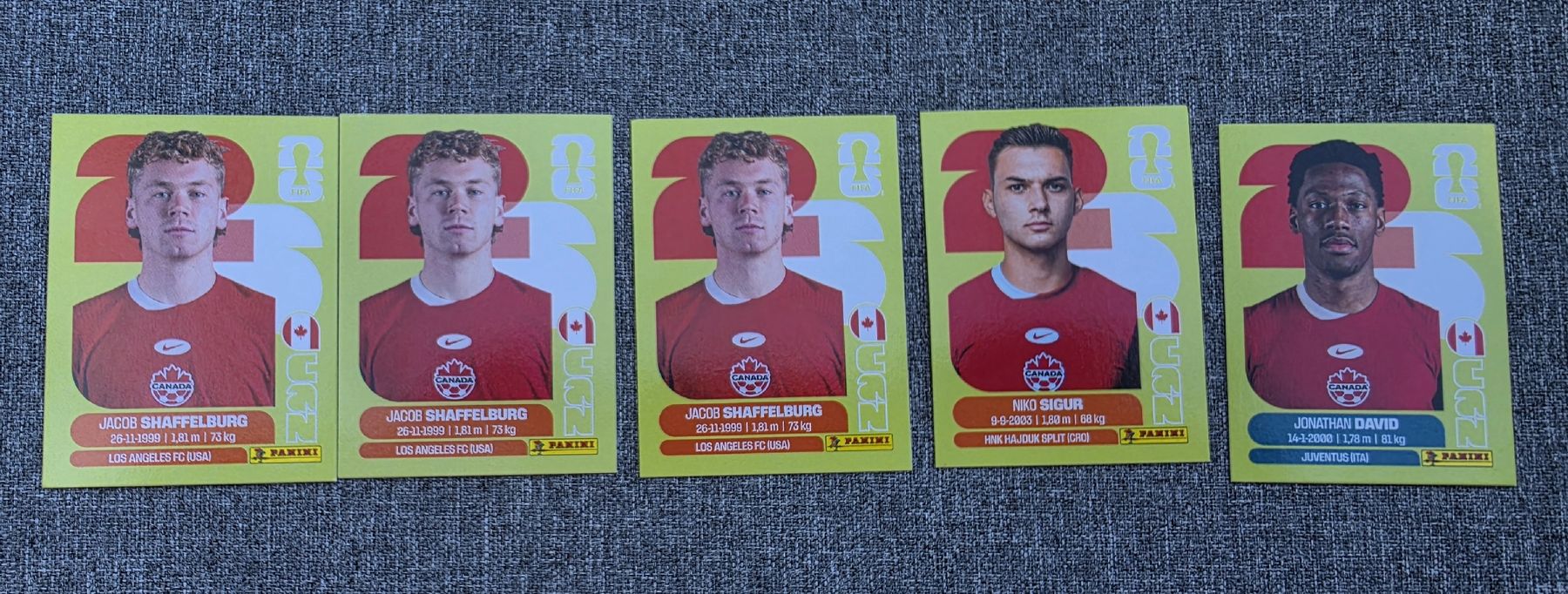 Panini Cartes à collectionner: Panini FIFA World Cup Sticker 5er Set – Neuf (Voir description) à Muhen par Snowman78