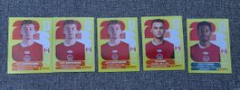 Panini FIFA World Cup Sticker 5er Set