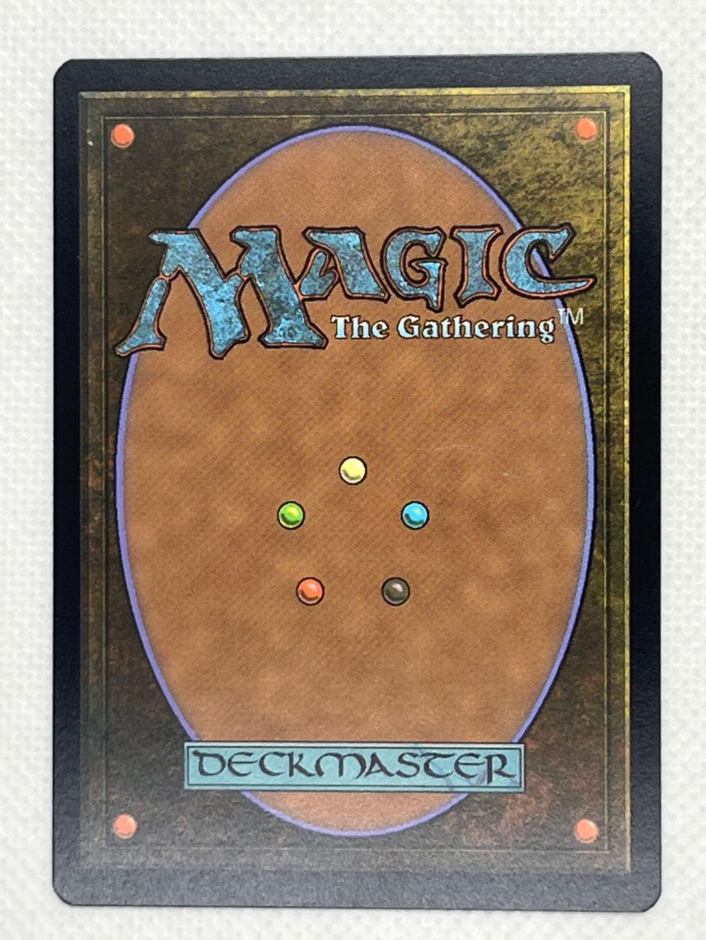 Magic The Gathering Carte collezionabili: Magic: The Gathering - Griffin Protector - Selten DMU! – Usato da Hinterkappelen venduto da Kim1992 1