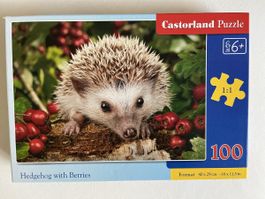 Puzzle 100 tlg