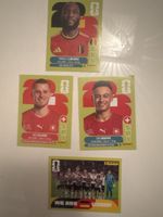 Panini 2026