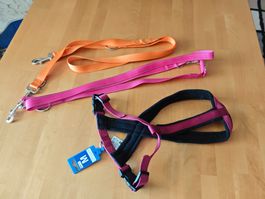 2 Hundeleinen und Hundegeschirr anione Gr. M