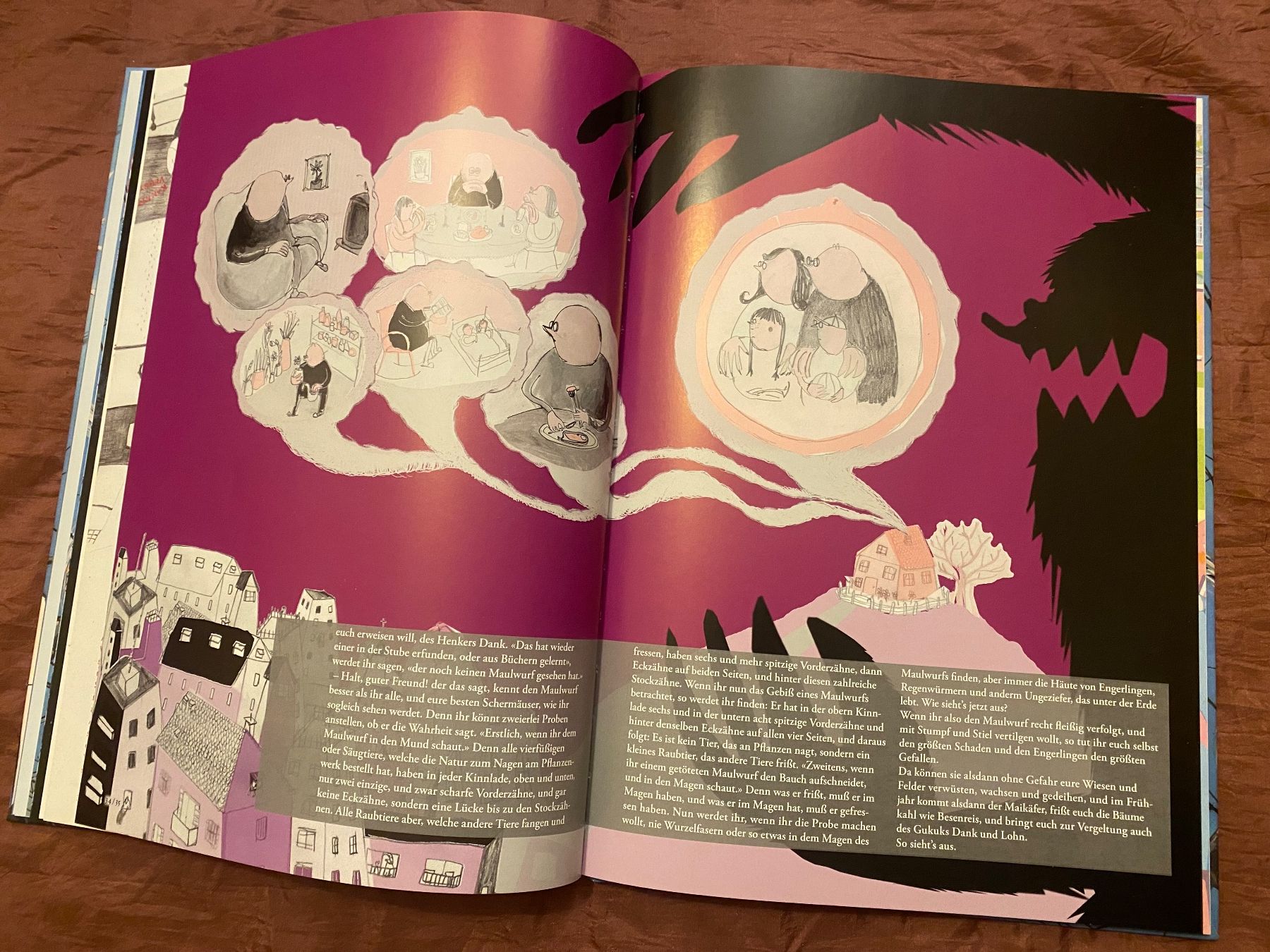 Libri: Kalendergeschichten in Comics Johann Peter Hebel Buch Comic – Usato da Basel venduto da him_5r5n 8