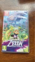 Nintendo Switch Zelda Echoes of Wisdom Game