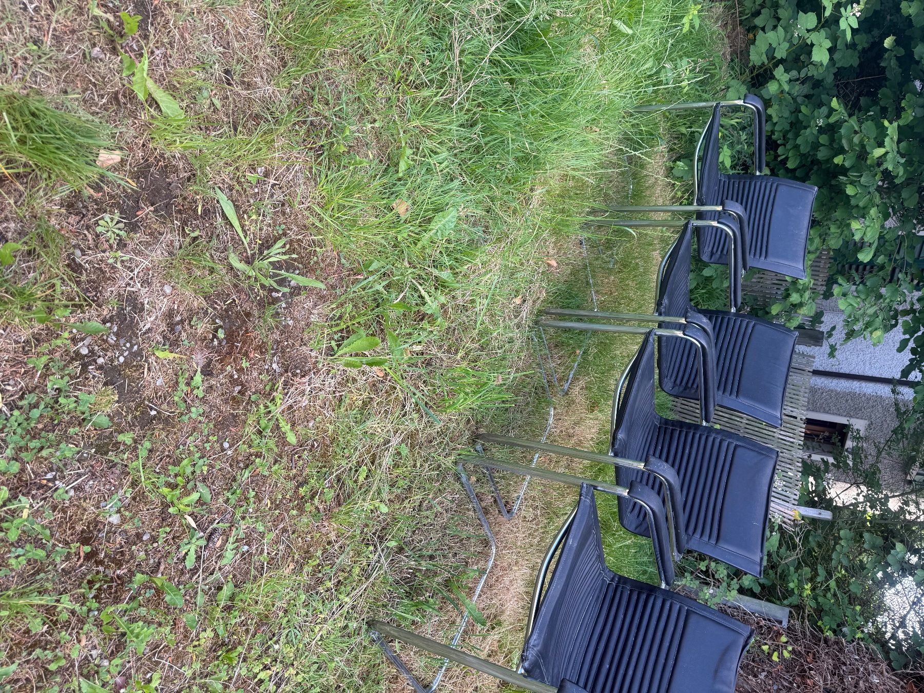 Stühle: Freischwinger stühle – Gebraucht aus Brugg AG von Vale_1
