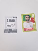 Panini Sticker IRN5