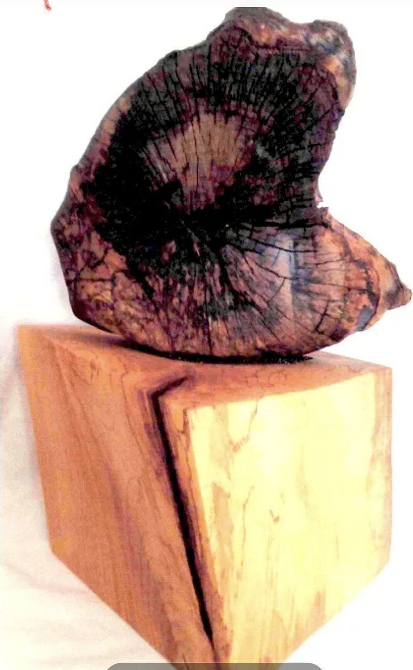 Articoli in legno: Pièce massive, sculpture Ph. Blanchet – Nuovo e nell'imballaggio originale da DUGNY (-Leytron) venduto da Rdeny 1