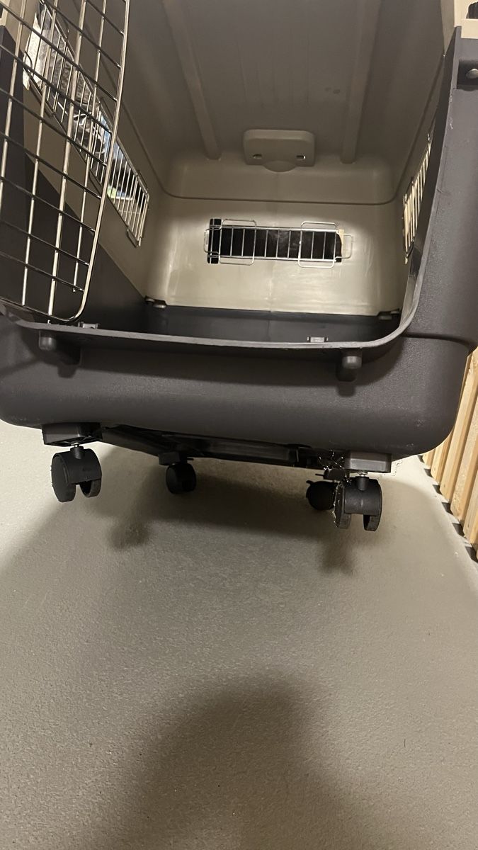 Gabbie, trasporto & Sicurezza: Andes 6 dog transport crate – Nuovo (secondo la descrizione) da Hochdorf venduto da car_2lvm 3