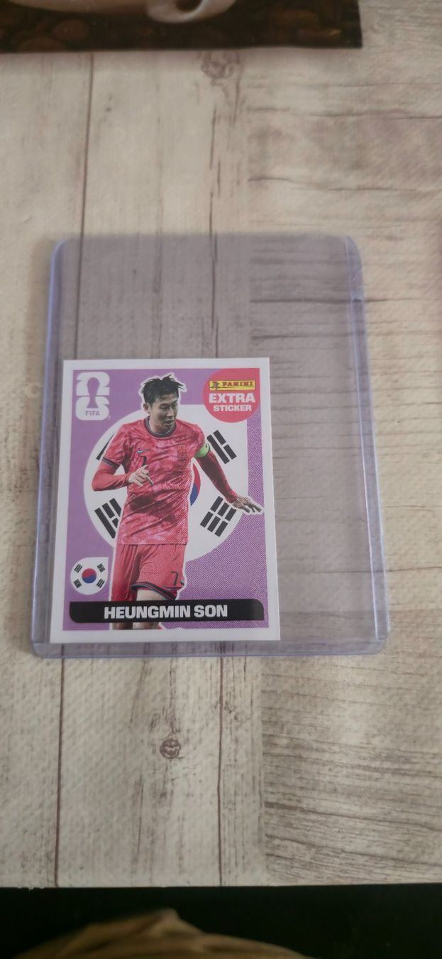 Panini Cartes à collectionner: Son – D'occasion à Langnau b. Reiden par fil_spz9
