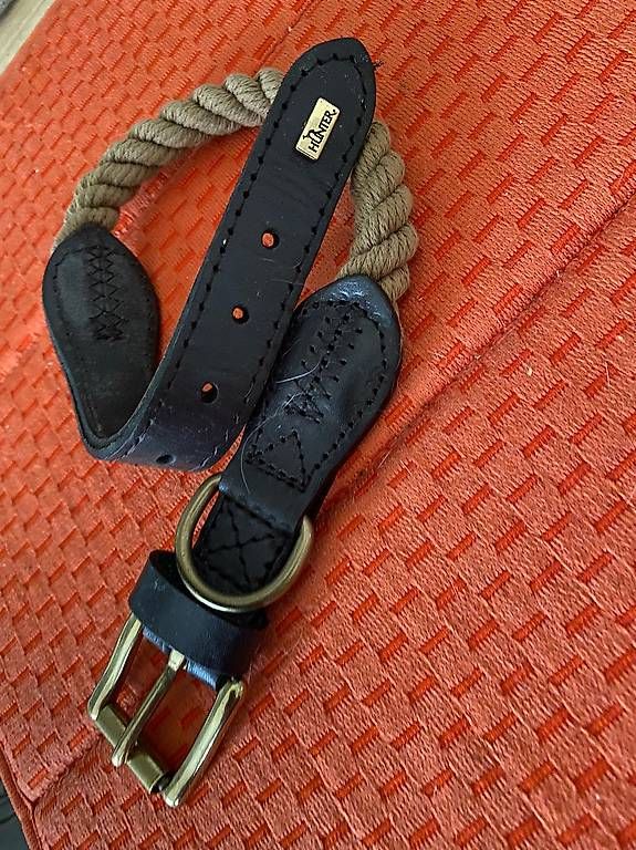 Guinzagli & Collari: Hunde-Halsband Hunter – Usato da Wallisellen venduto da Versiva4