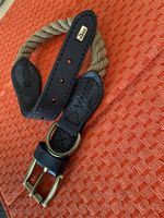 Hunde-Halsband Hunter