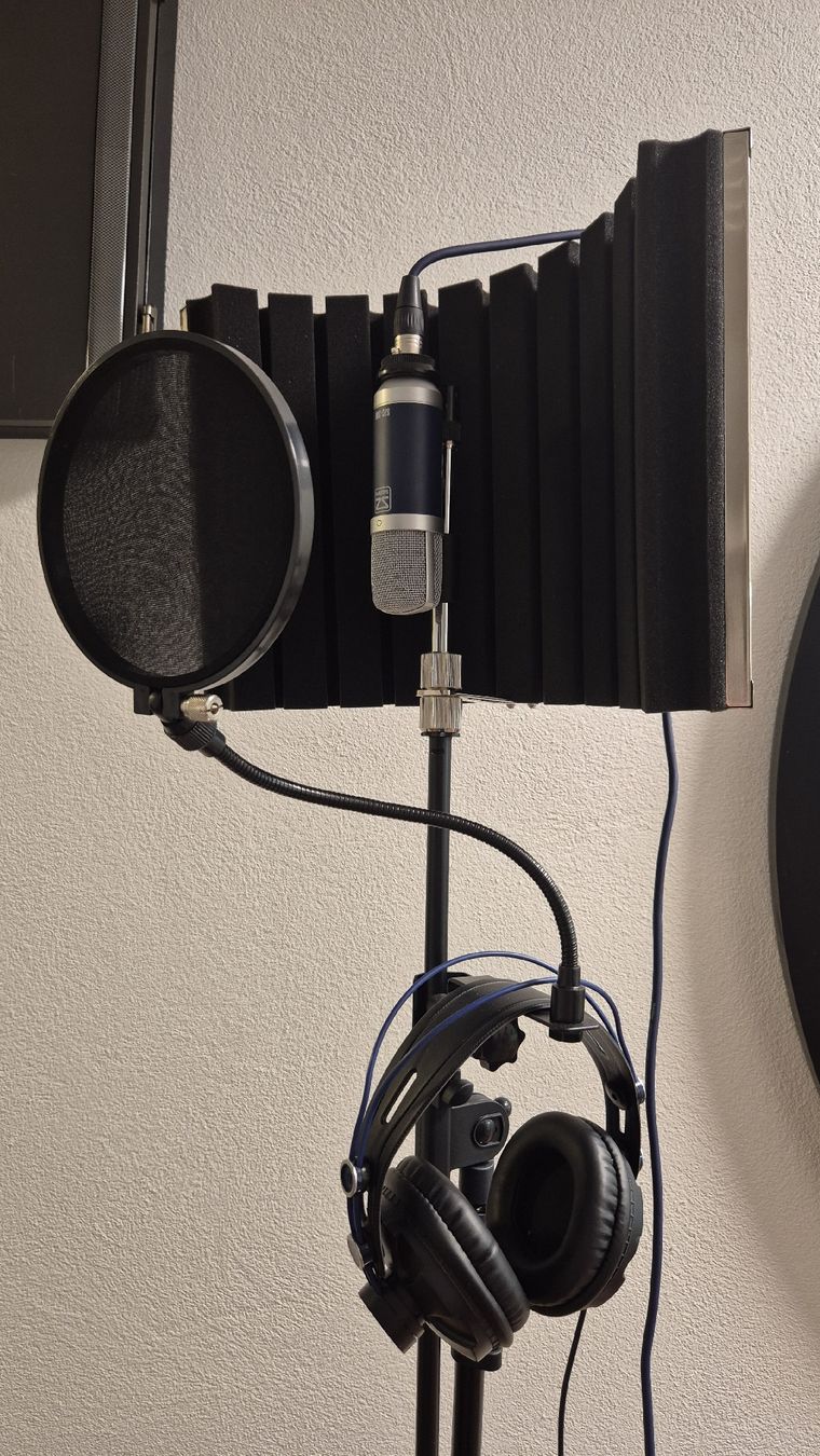 Microfoni: SubZero Home Recording Bundle - A12 Interface Set! – Nuovo (secondo la descrizione) da Kleinandelfingen venduto da pas_7mbj