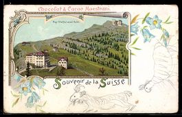 Lithographie Rigi-Kulm, Totalansicht aus der Vogelschau mit 