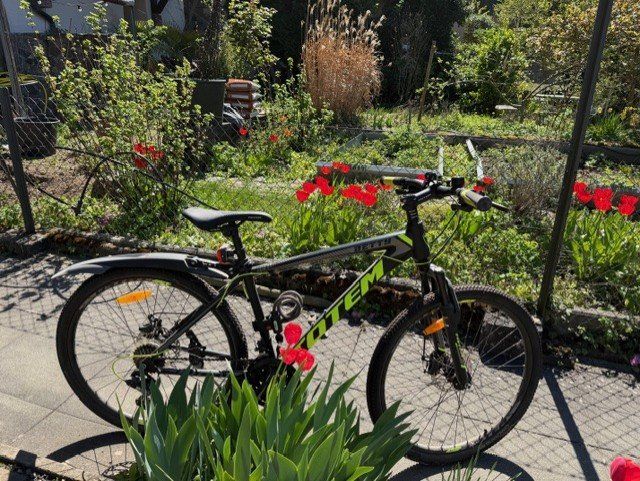 Totem Biciclette: 2mal Velo – Usato da Laufenburg venduto da i-ric-58