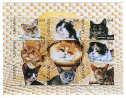 Block "Katzen". Guyana.