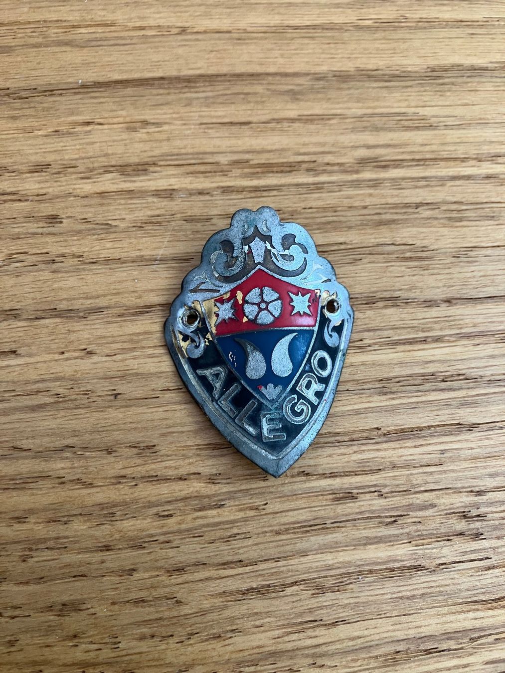 Pezzi di ricambio: Allegro Steuerkopf Emblem – Usato da Obermumpf venduto da Estrela67