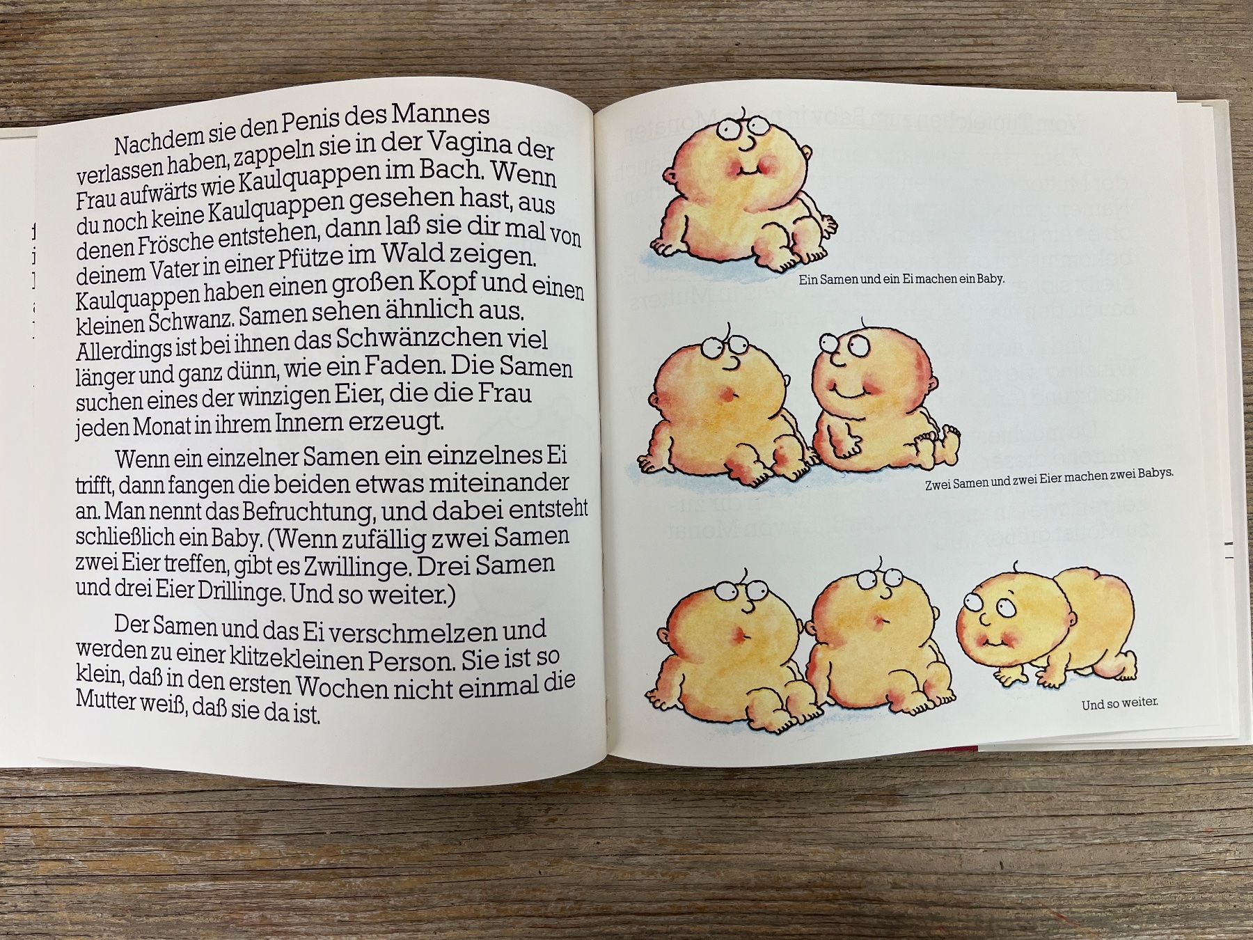 Libri: Aufklärung: Wo komm`ich eigentlich her? Dr. Thäddäus Troll – Usato da Pfäffikon ZH venduto da buresi 5