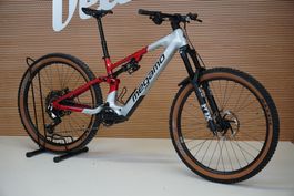 Megamo Reason Grösse M – Testbike mit Avinox M1, 800-Wh-Akku