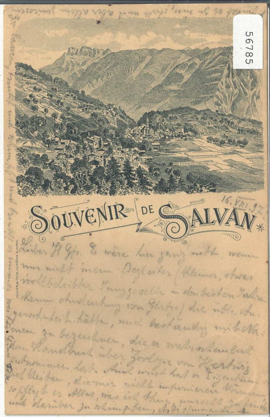 Cartoline postali: Souvenir de Salvan - Litho 1897 – Usato da Ettingen venduto da Kartenplanet