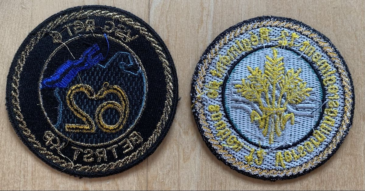 Schweizer Armee Placchette & Badge: 2 Badges Versorgung – Usato da Goldingen venduto da Bergler012 1