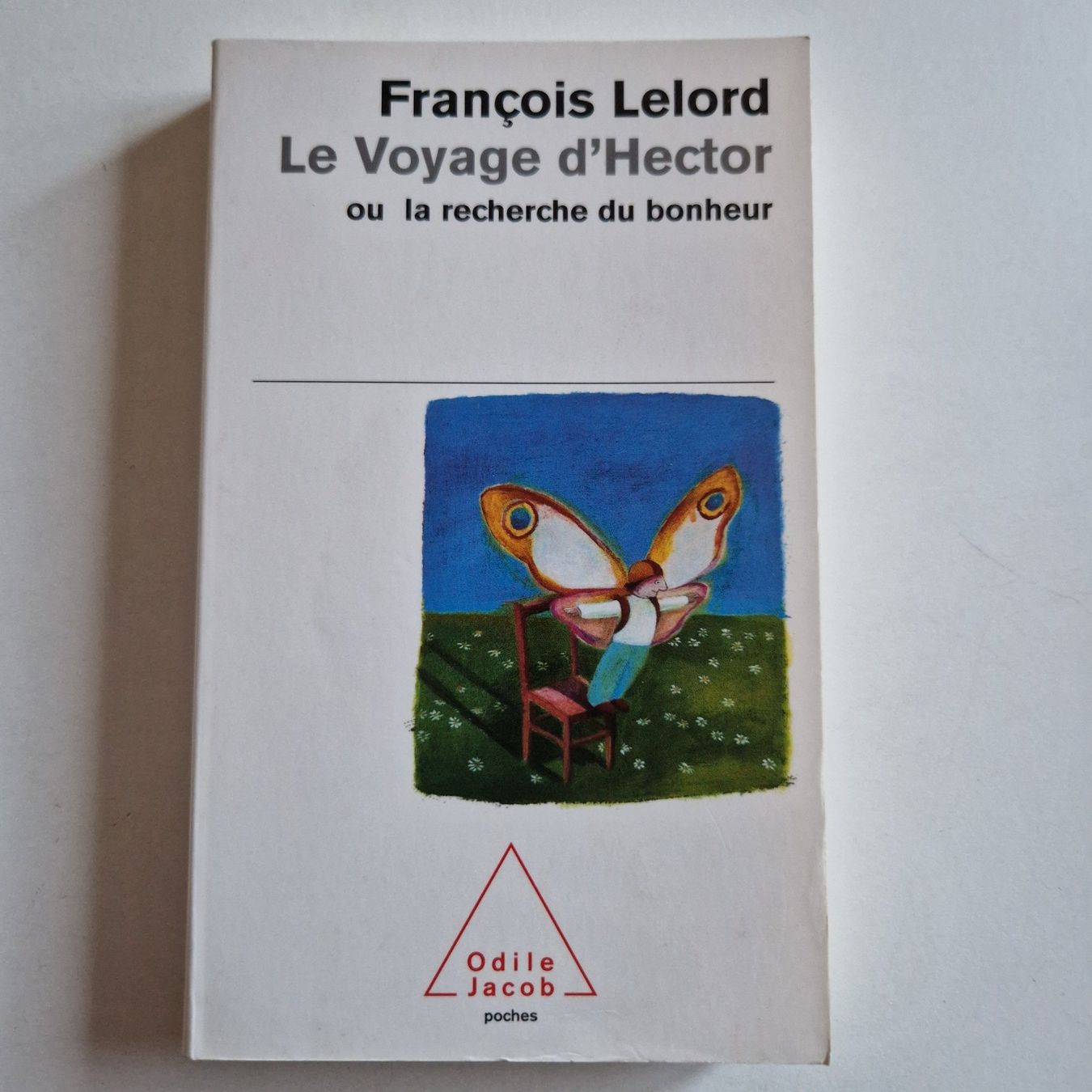 Libri: Le Voyage de Hector – Nuovo (secondo la descrizione) da Rüti ZH venduto da Gigelisuppe