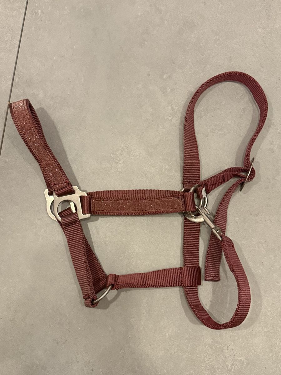 Briglie & Cavezze: Cob  Halfter Bordeauxrot mit Glitzer – Nuovo (secondo la descrizione) da Amriswil venduto da Mad_x7
