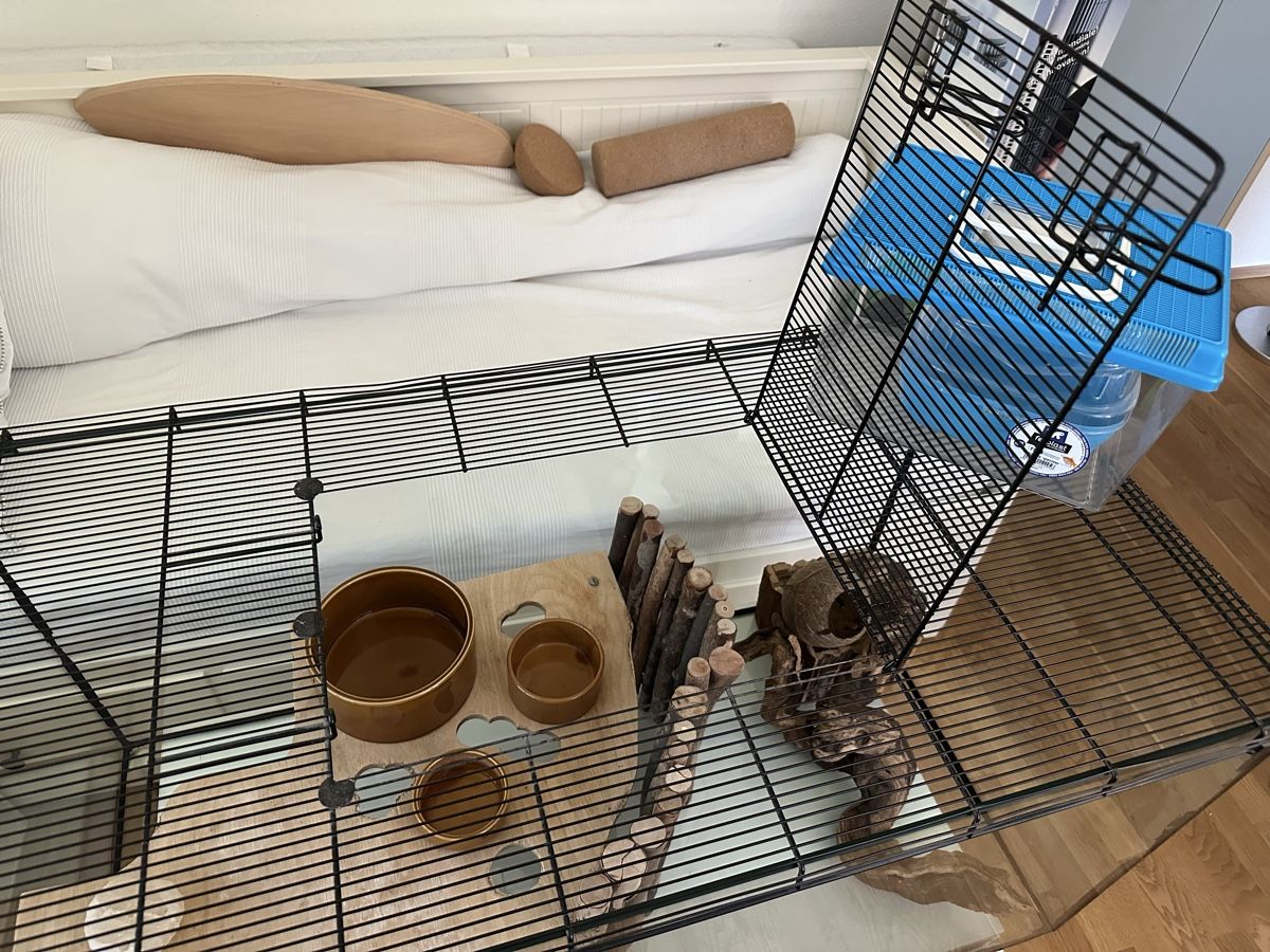 Gabbie, trasporto & Sicurezza: Terrarium / Mauskäfig / Mäusekäfig / Nager – Usato da Zürich venduto da Luoco 1