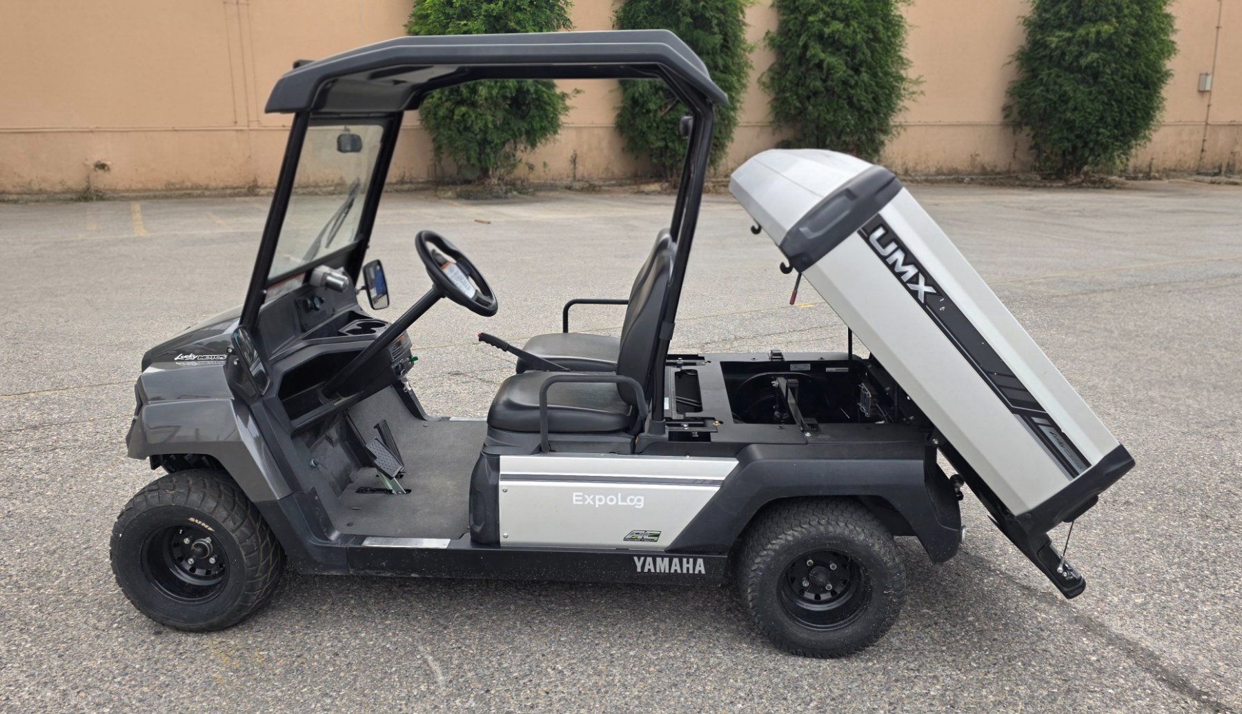 Veicoli elettrici: Yamaha UMX AC Elektro mit Strassenzulassung – Usato da Grenchen venduto da Mluka 6