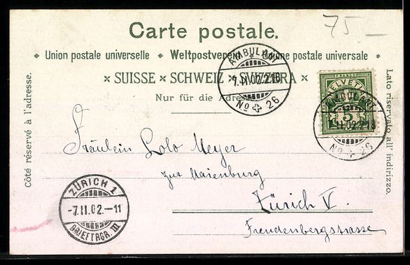 Cartoline postali: Lithographie Lugano, Seepanorama mit Ortsansicht – Usato da Berlin venduto da bartko-reher 1