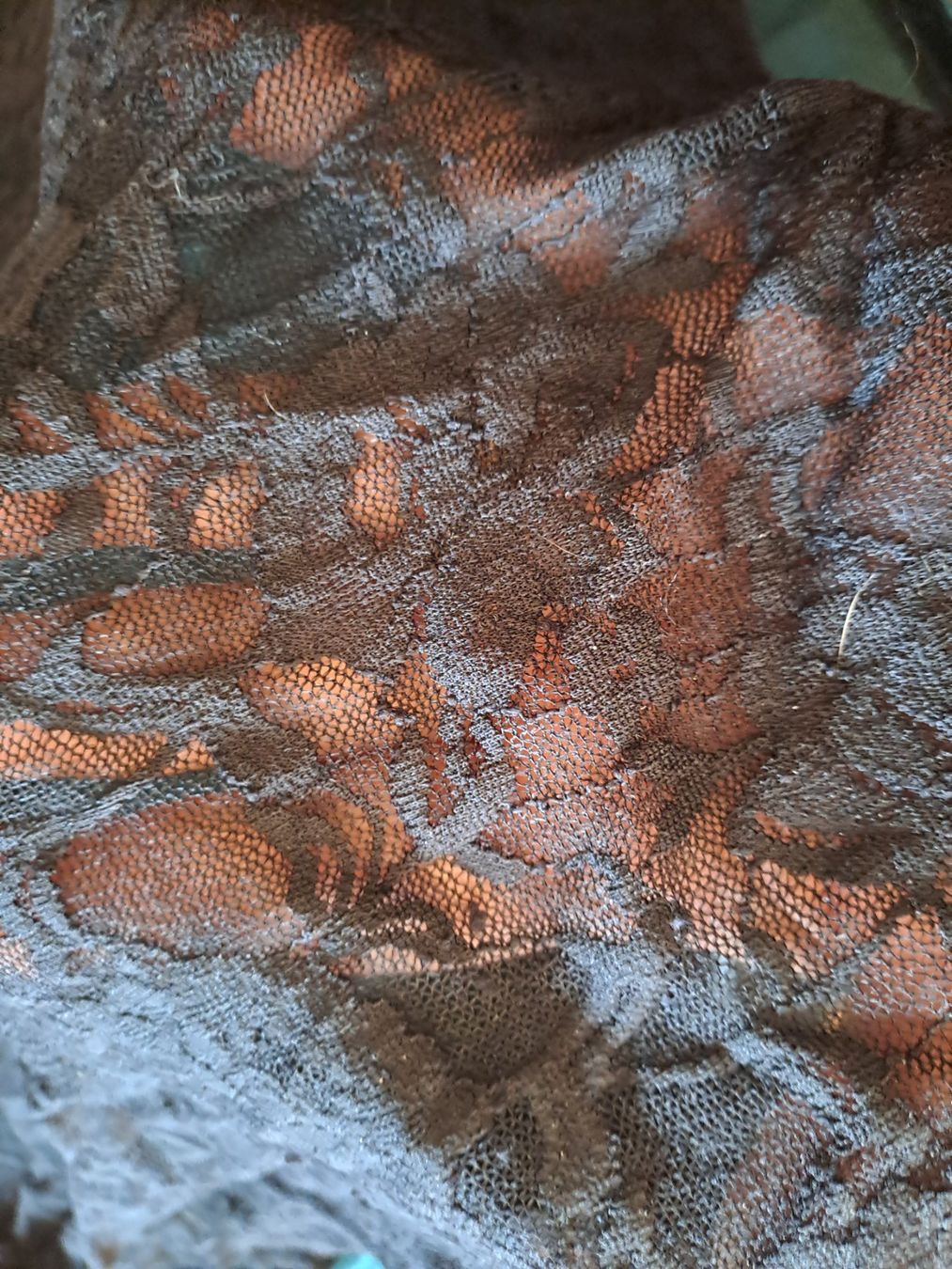 Autres dessous: Negligee Samt Gr.48/50 – D'occasion à Emdthal par kasira 2