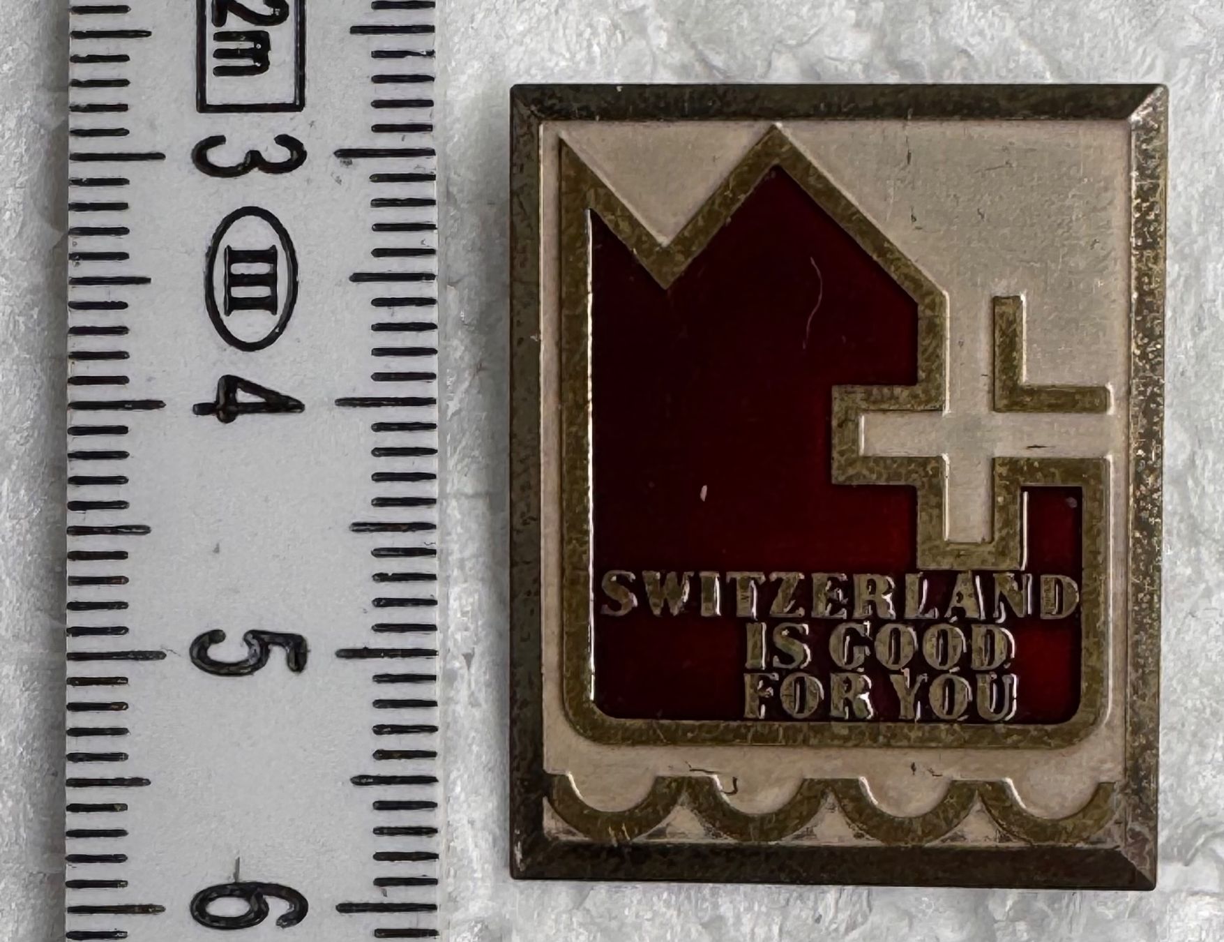 Placchette & Badge: Abzeichen, Switzerland is Good For You – Usato da Andwil SG venduto da Ariisa1234 2