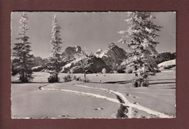 Landschaft auf SAANENMÖSER - 1952