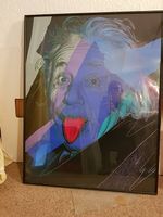 Einstein im Stile Andy Warhole