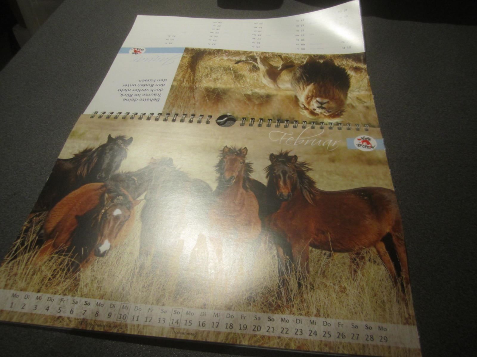 Calendriers: Tierbilderkalender 2016 – D'occasion à Zürich par Motzkuh 1