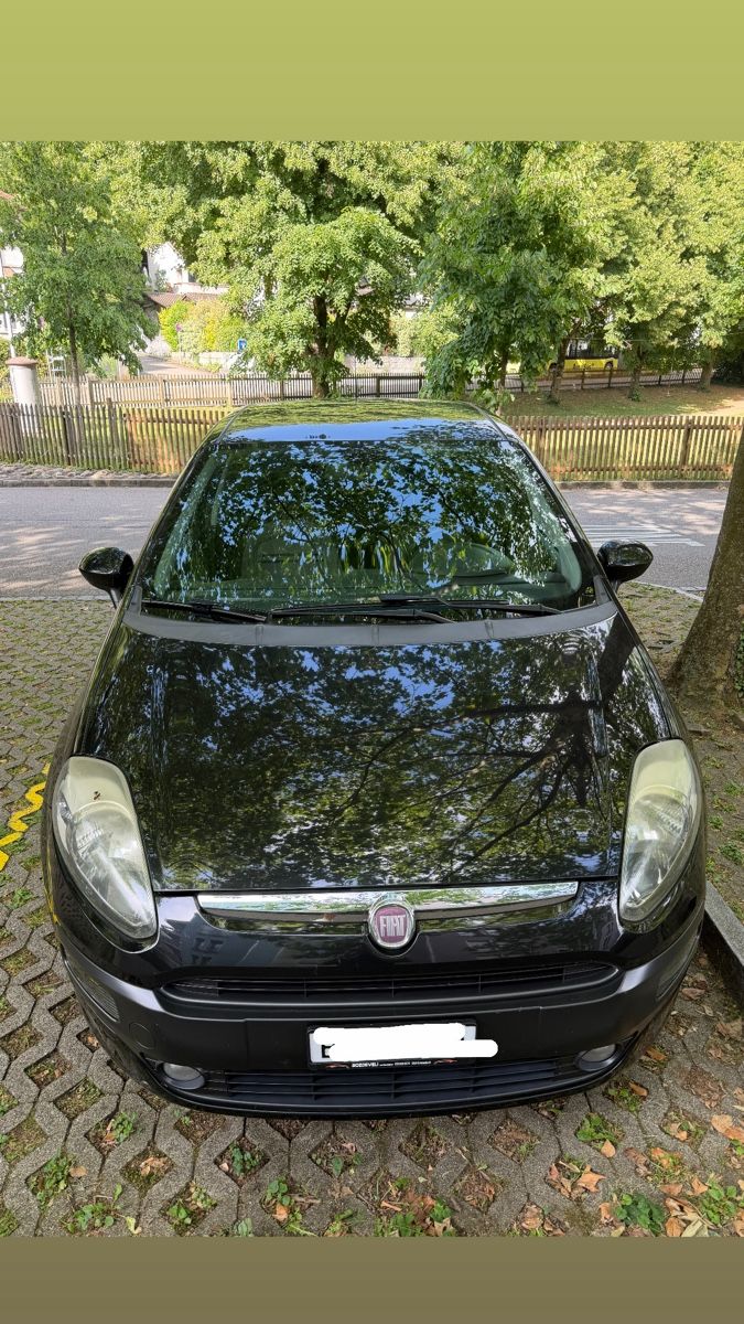 Fiat Automobili: Fiat Punto 1.4 8V – Usato da Liestal venduto da Mummi12