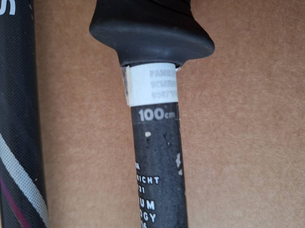 Bastoncini da sci: Salomon Ski Stock 100cm – Usato da Weissbad venduto da DaPeTa 1