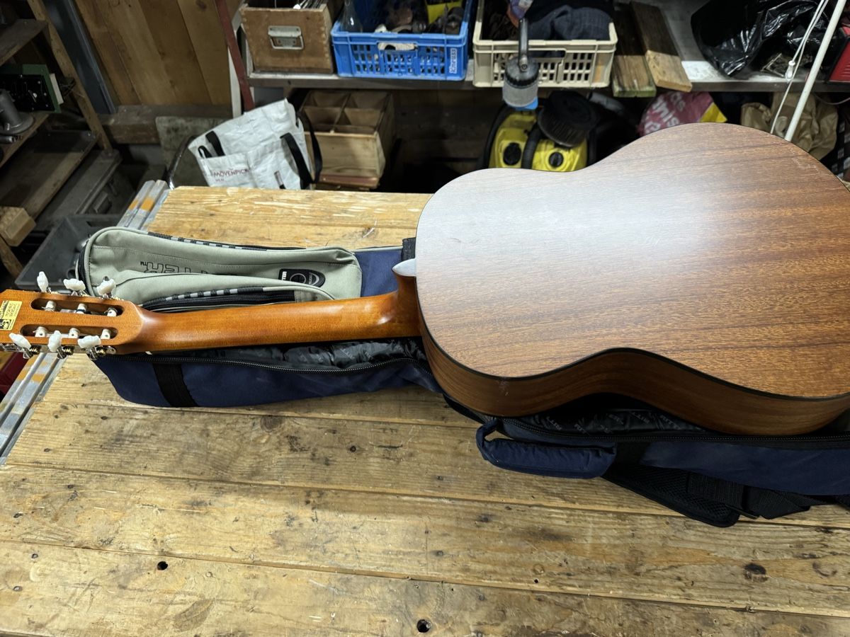 Strumenti musicali: Gitarre Walden 320 TW – Usato da Brienz BE venduto da soto718 3