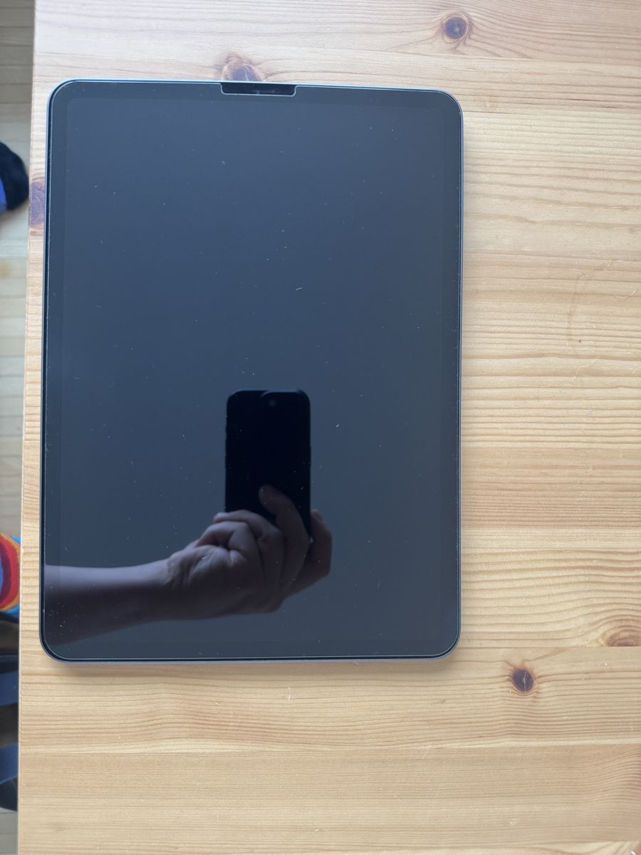 Apple Tablet PC: iPad Pro 11-inch 2nd Generation Wi-Fi – Usato da Dübendorf venduto da Todesnachti