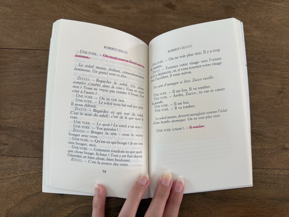 Libri: Roberto Zucco - Bernard-Marie Koltès – Usato da Moutier venduto da Sparrow2002 2