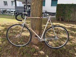 Rennvelo Peugeot, frisch ab Service