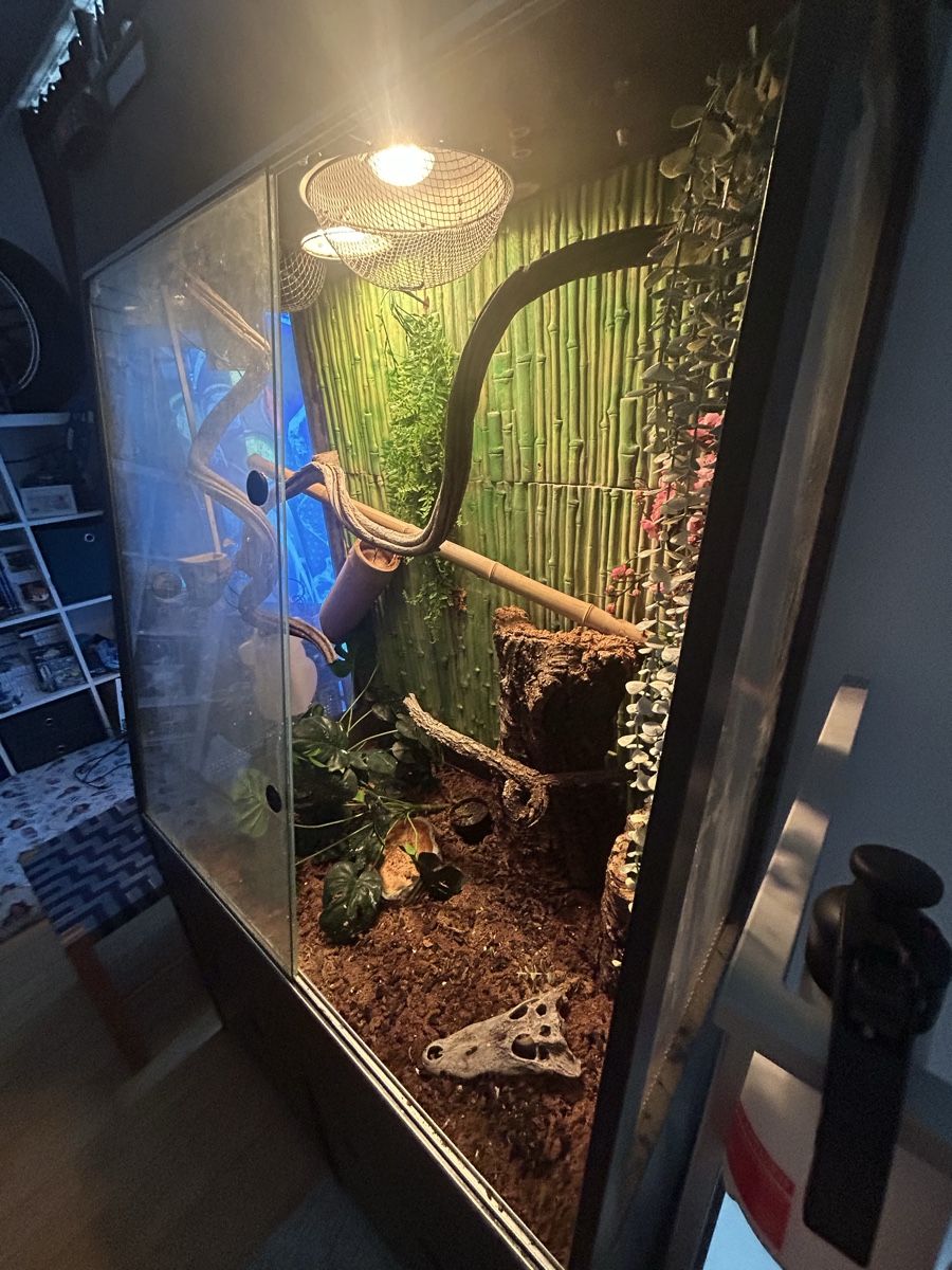 Terrario: Gegcko Terrarium  – Usato da Matzingen venduto da lar_klx9 1