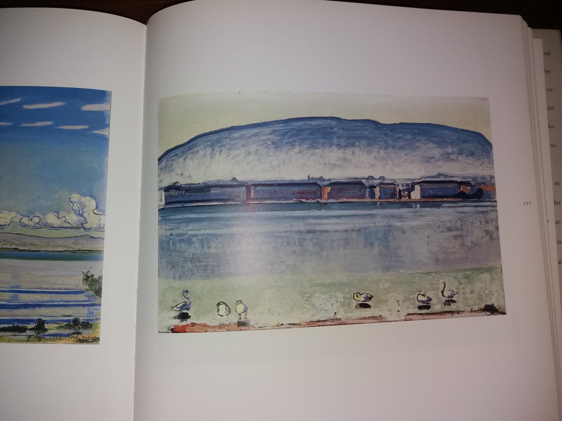 Bücher: KUNSTKLASSIKER Ferdinand Hodler landschaften – Gebraucht aus Welschenrohr von Regool 4