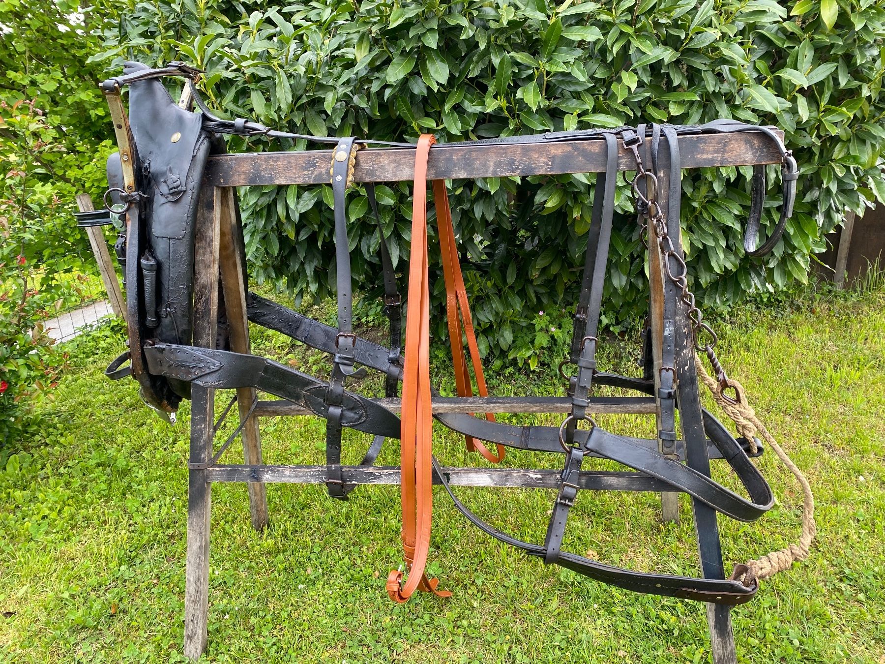 Carrozze: schönes Bündnergeschirr – Usato da Feldbach venduto da Fea1