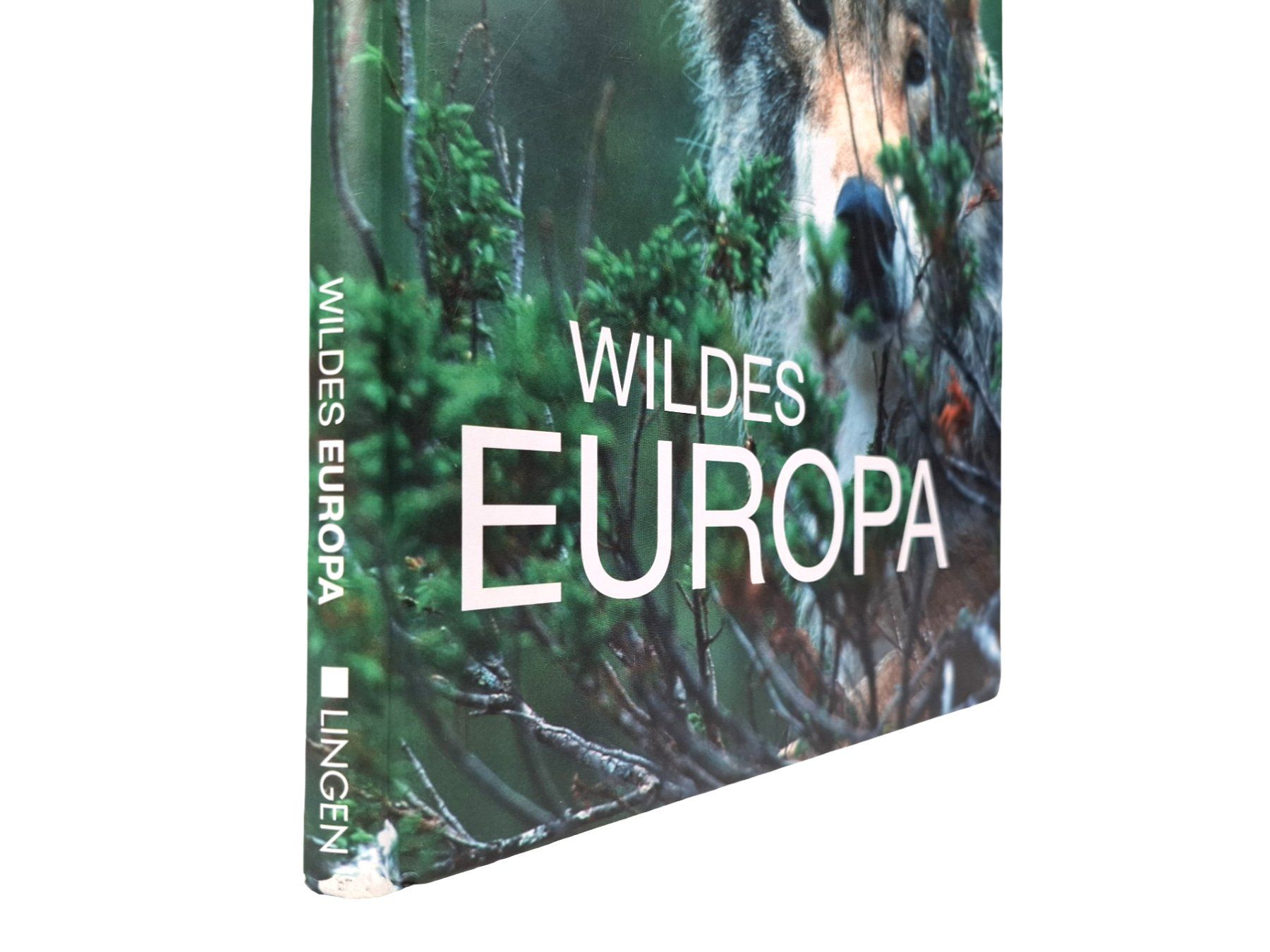 Libri: LINGEN Wildes Europa – Usato da Wil SG venduto da Restwert_Wil 3