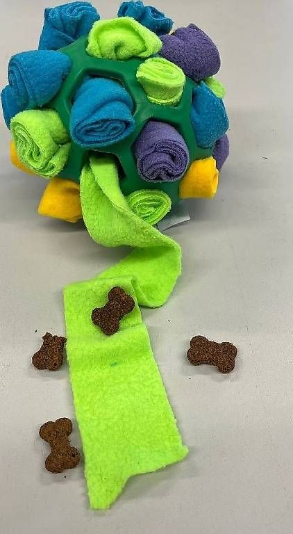 Jouets: Schnüffelball mit Fleece – D'occasion à Lyss par Zooroco 3